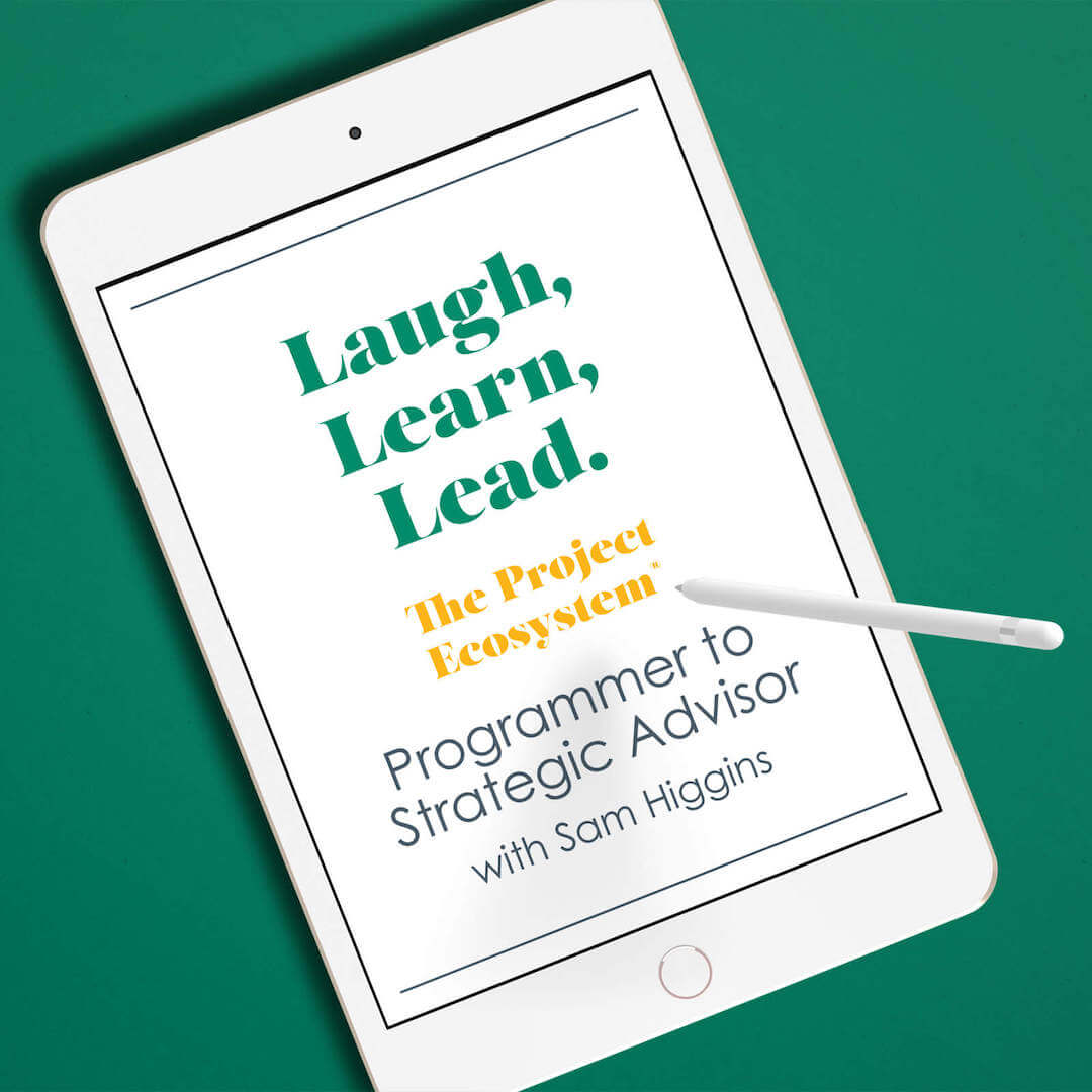Ep14 Programmer to Strategic Advisor (Part B) with Sam Higgins